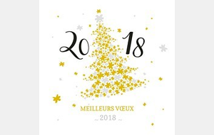 VOEUX 2018