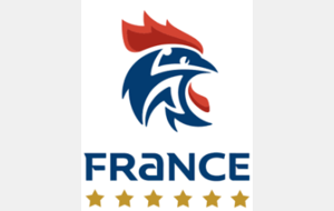RETRANSMISSION MATCH DE L'EQUIPE DE FRANCE