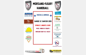 Matchs à domicile week-end du 12/13 janvier 2019