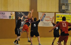 53277af19bb60_savignymorsang25Copier.JPG