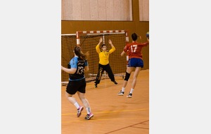 54bbaba94b706_SMFHBBoisCOlombes1.jpg