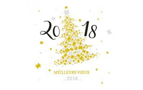 VOEUX 2018