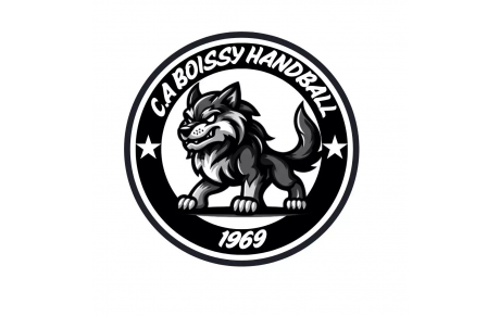 CA BOISSY HANDBALL